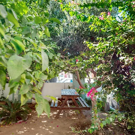 Diamante Guest House-ground Famagusta (Northern Cyprus)